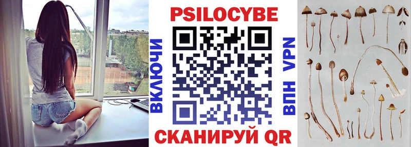 Псилоцибиновые грибы Psilocybine cubensis  Купить где  Еманжелинск 